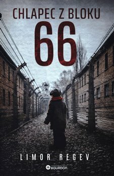 160-big.jpg