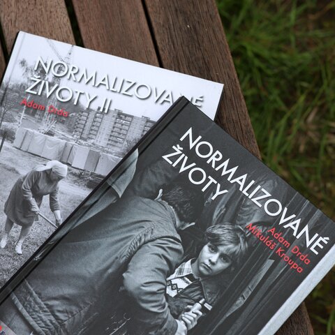 Normalizované životy II. Podle televizního cyklu Příběhy 20. století